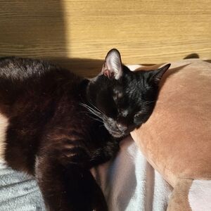 Meet your Posher, Madison